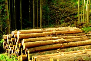 建築土木資材・緑化樹木・造園資材の販売並びに輸出入